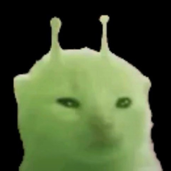 cow_qqq